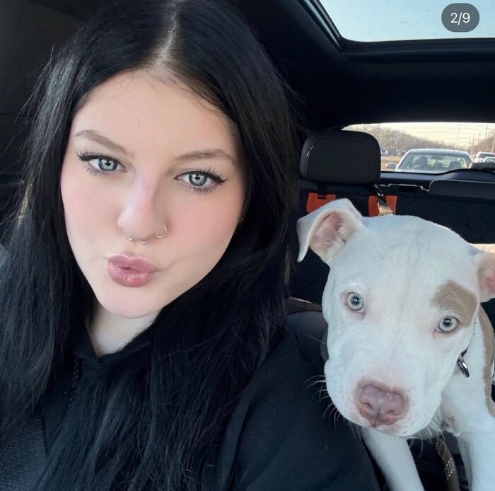 59 Examples That Prove Pets Look Like Their Owners