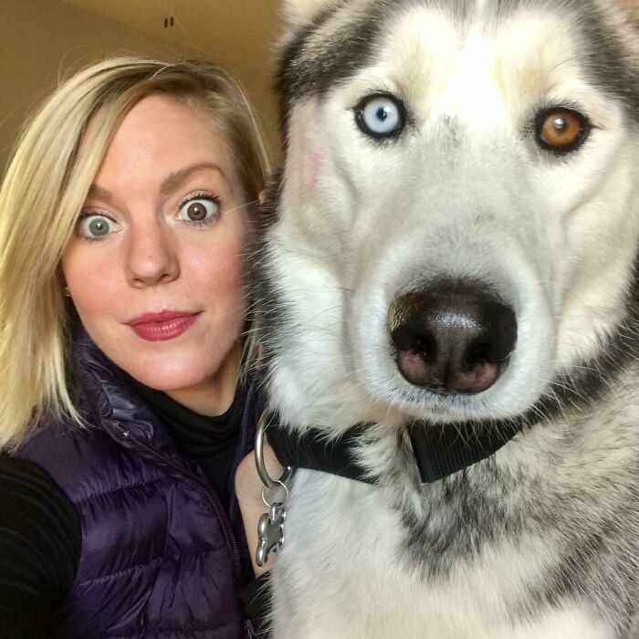 59 Examples That Prove Pets Look Like Their Owners