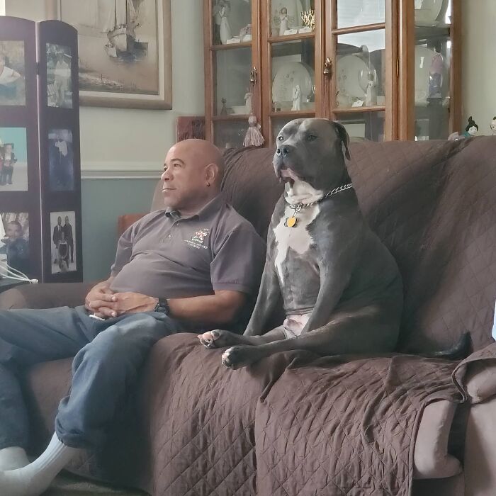 59 Examples That Prove Pets Look Like Their Owners