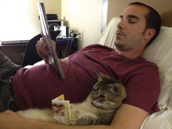 59 Examples That Prove Pets Look Like Their Owners