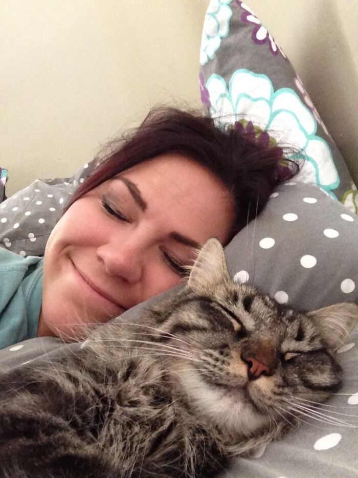 59 Examples That Prove Pets Look Like Their Owners