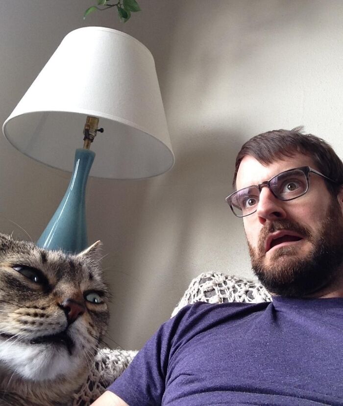 59 Examples That Prove Pets Look Like Their Owners