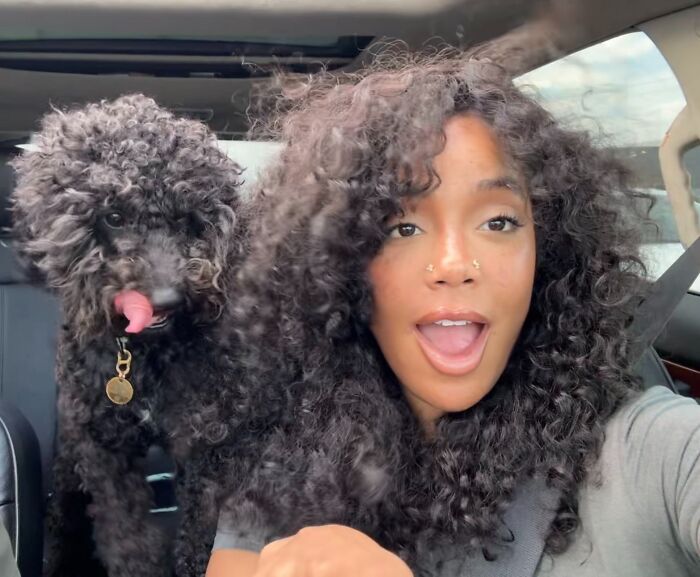 59 Examples That Prove Pets Look Like Their Owners