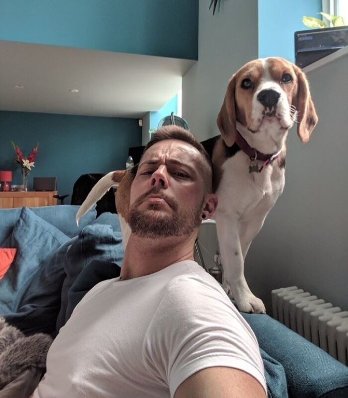 59 Examples That Prove Pets Look Like Their Owners