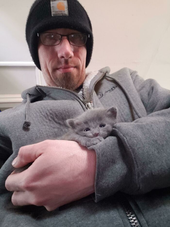 59 Examples That Prove Pets Look Like Their Owners