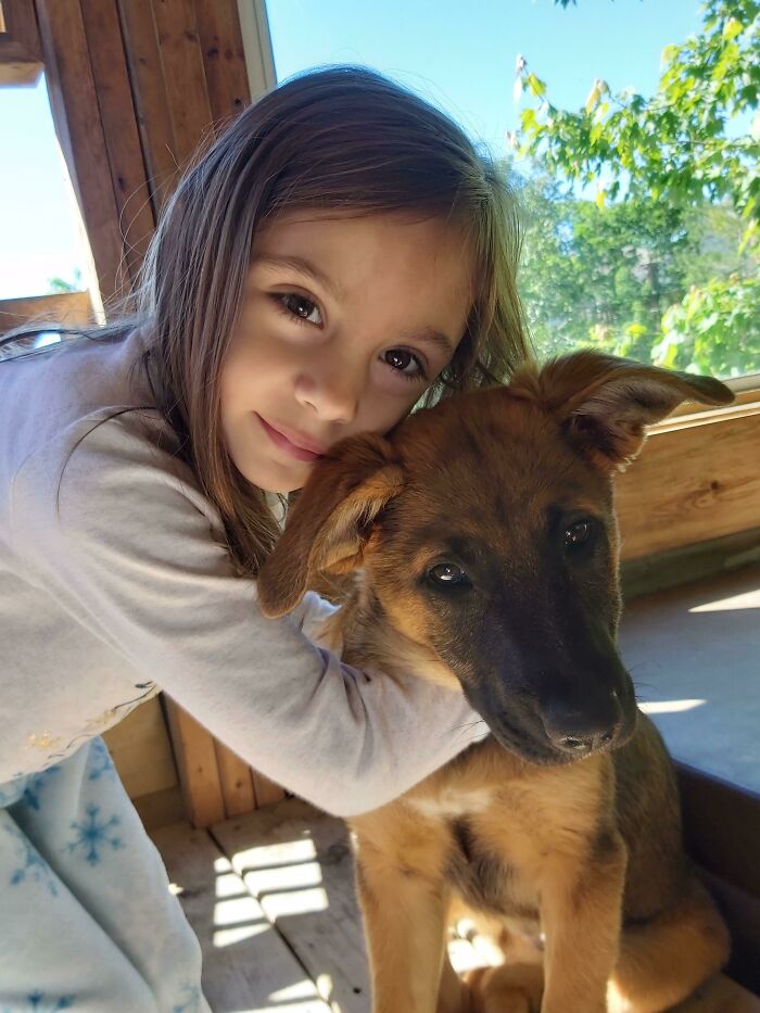 59 Examples That Prove Pets Look Like Their Owners