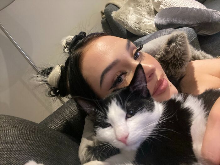 59 Examples That Prove Pets Look Like Their Owners