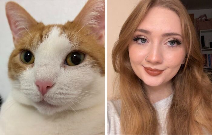 59 Examples That Prove Pets Look Like Their Owners