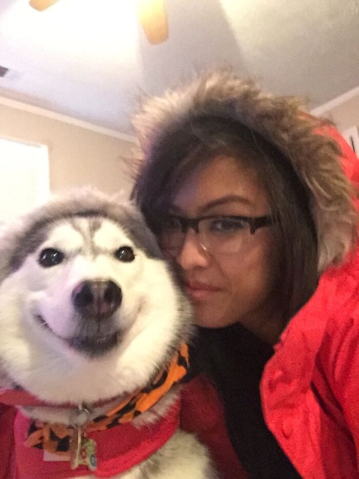 59 Examples That Prove Pets Look Like Their Owners