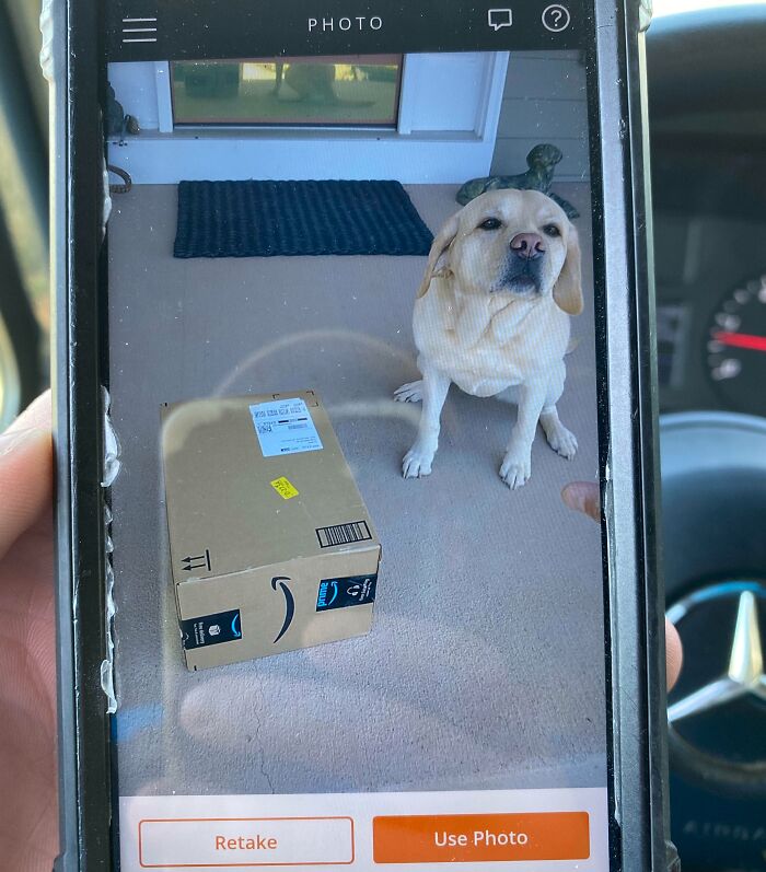 55 Of The Most Hilarious Delivery Confirmation Pics Drivers Sent Out To Customers