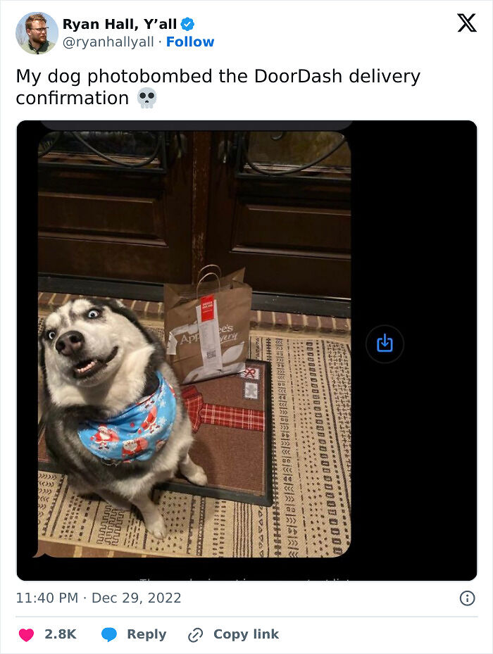 55 Of The Most Hilarious Delivery Confirmation Pics Drivers Sent Out To Customers