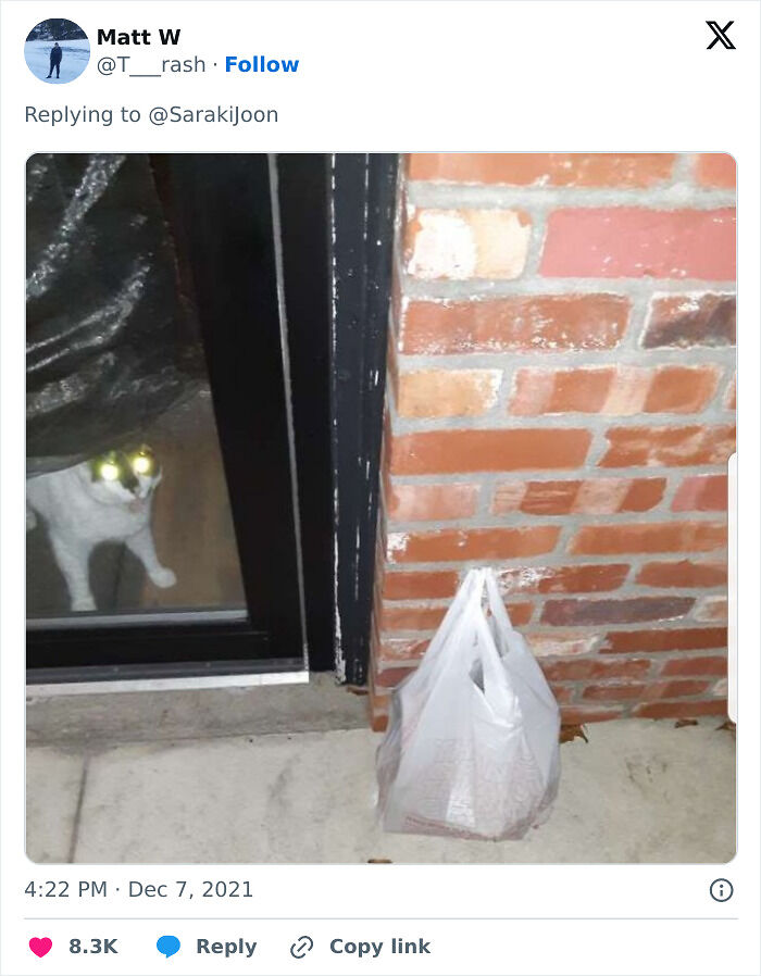 55 Of The Most Hilarious Delivery Confirmation Pics Drivers Sent Out To Customers