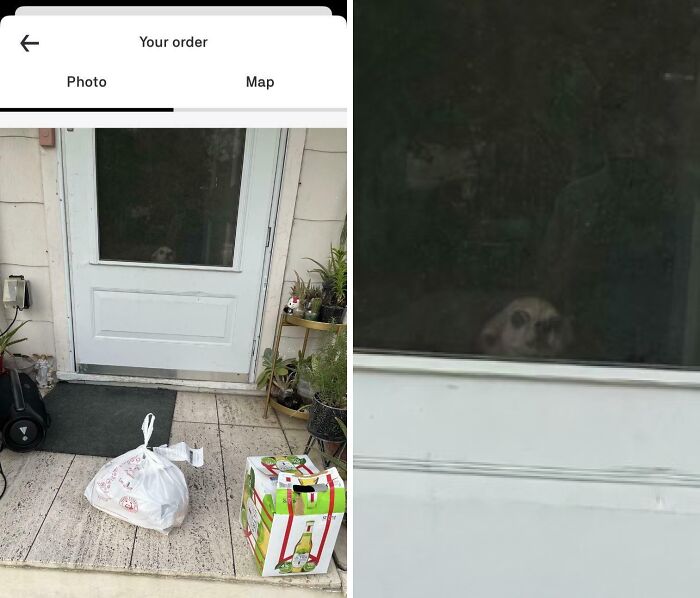 55 Of The Most Hilarious Delivery Confirmation Pics Drivers Sent Out To Customers