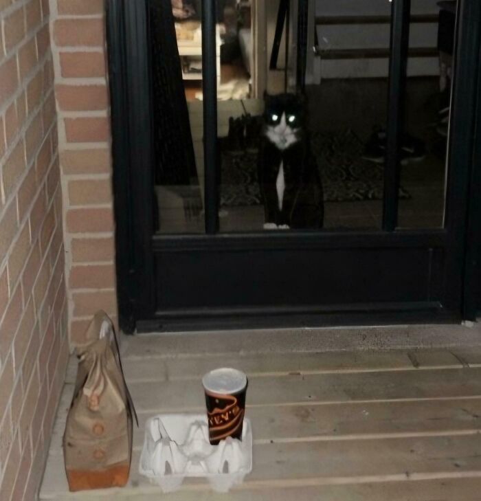 55 Of The Most Hilarious Delivery Confirmation Pics Drivers Sent Out To Customers