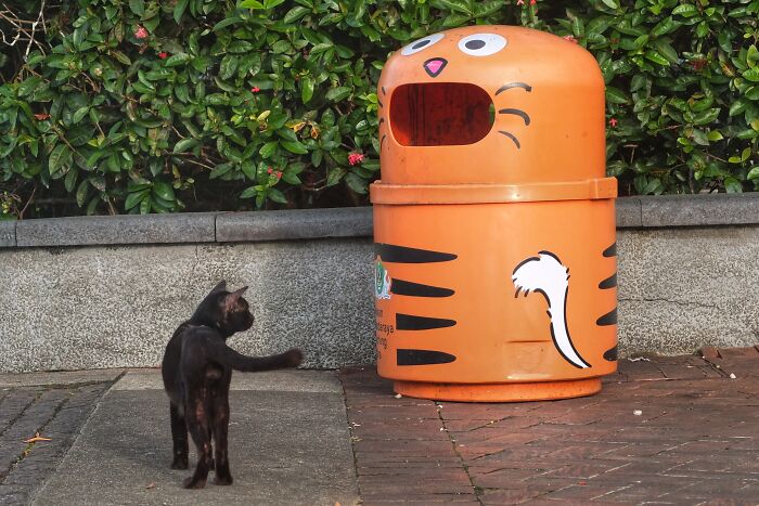 Beware Of The Camera Ambush: I Capture Spontaneous And Funny Street Moments In Malaysia (30 Pics)