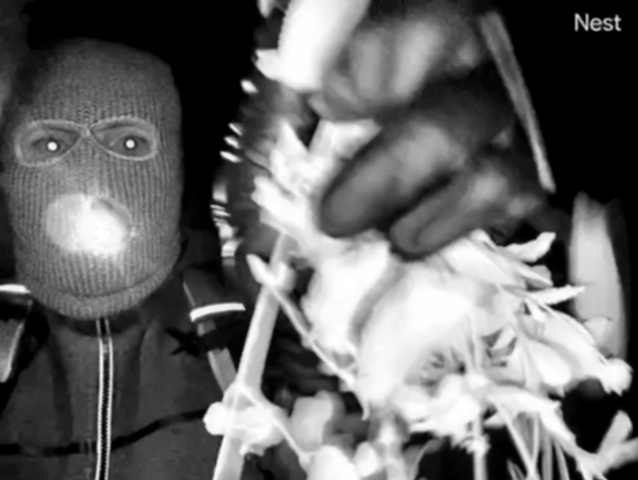 Man Detained In Connection With Nancy Guthrie’s Kidnapping Breaks His Silence