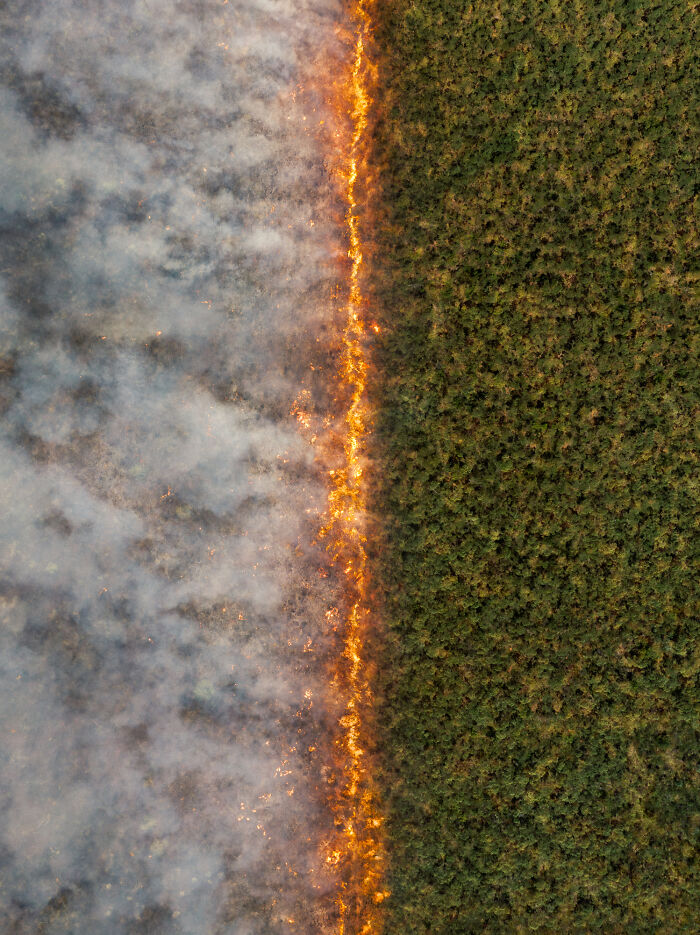 The 2025 International Photography Awards Showcased The World At Its Most Beautiful And Bizarre (74 Pics)