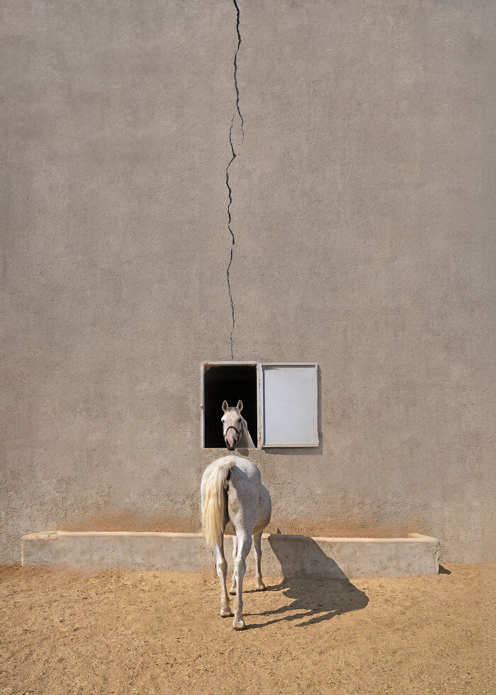 The 2025 International Photography Awards Showcased The World At Its Most Beautiful And Bizarre (74 Pics)