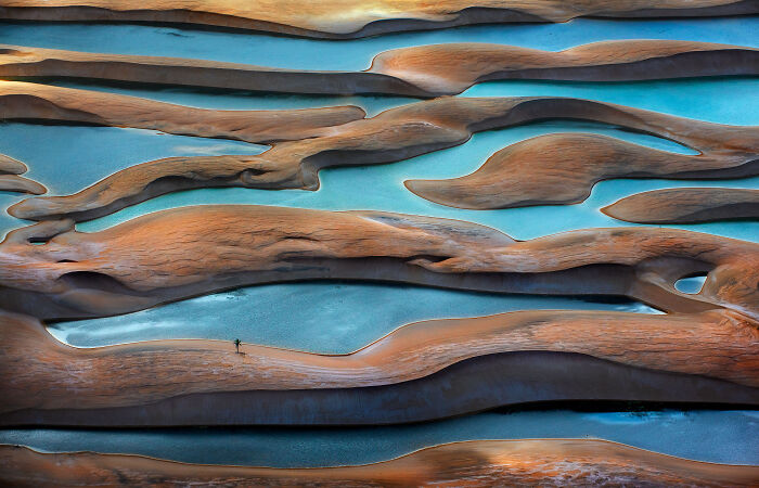 The 2025 International Photography Awards Showcased The World At Its Most Beautiful And Bizarre (74 Pics)