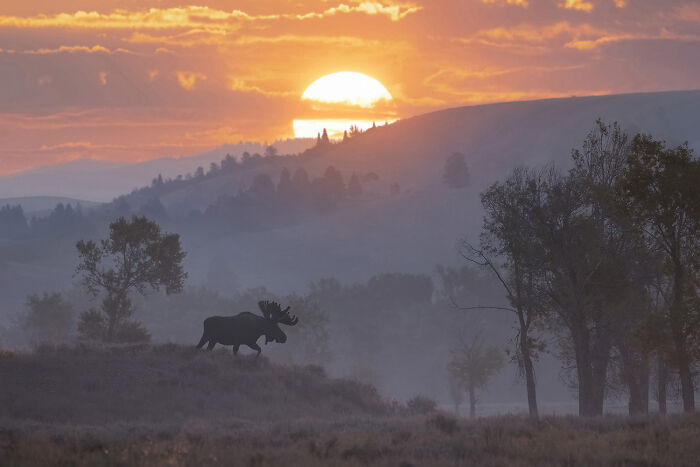The 2025 International Photography Awards Showcased The World At Its Most Beautiful And Bizarre (74 Pics)