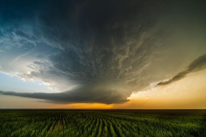 The 2025 International Photography Awards Showcased The World At Its Most Beautiful And Bizarre (74 Pics)