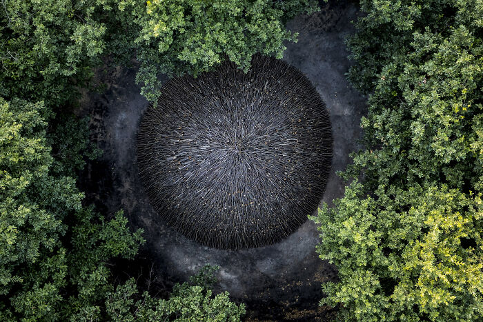 The 2025 International Photography Awards Showcased The World At Its Most Beautiful And Bizarre (74 Pics)