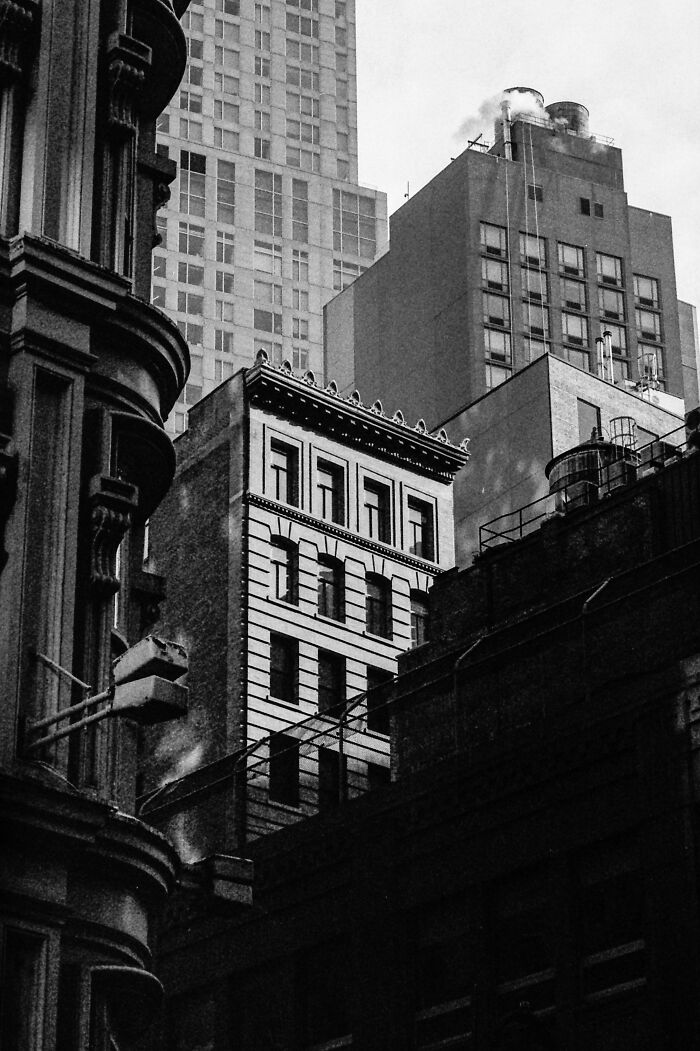 The 2025 International Photography Awards Showcased The World At Its Most Beautiful And Bizarre (74 Pics)