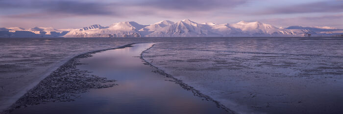 The 2025 International Photography Awards Showcased The World At Its Most Beautiful And Bizarre (74 Pics)