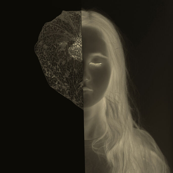 The 2025 International Photography Awards Showcased The World At Its Most Beautiful And Bizarre (74 Pics)