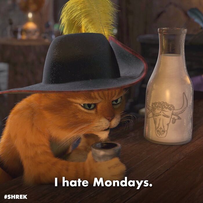 30 Pet Peeves That Instantly Divide A Room