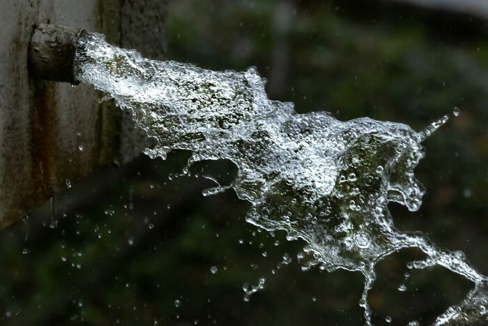 “Fox With A McDonald’s Takeaway?”: Once-In-A-Lifetime Photos Taken At The Exact Perfect Moment