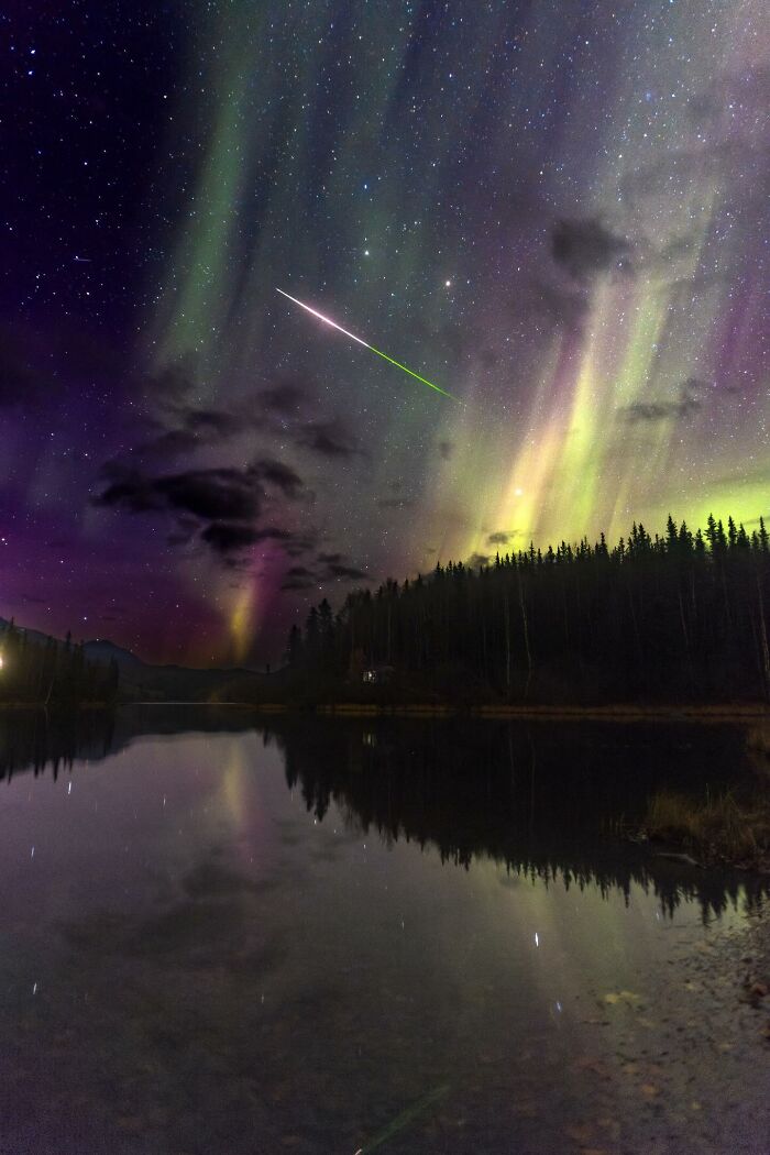 “Fox With A McDonald’s Takeaway?”: Once-In-A-Lifetime Photos Taken At The Exact Perfect Moment