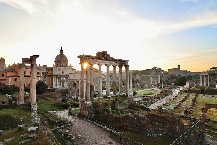 “Fox With A McDonald’s Takeaway?”: Once-In-A-Lifetime Photos Taken At The Exact Perfect Moment
