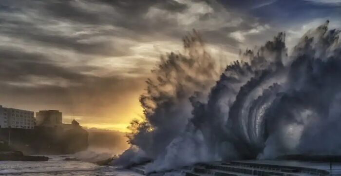 “Fox With A McDonald’s Takeaway?”: Once-In-A-Lifetime Photos Taken At The Exact Perfect Moment