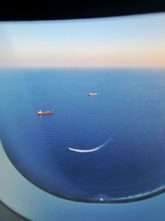 “Fox With A McDonald’s Takeaway?”: Once-In-A-Lifetime Photos Taken At The Exact Perfect Moment