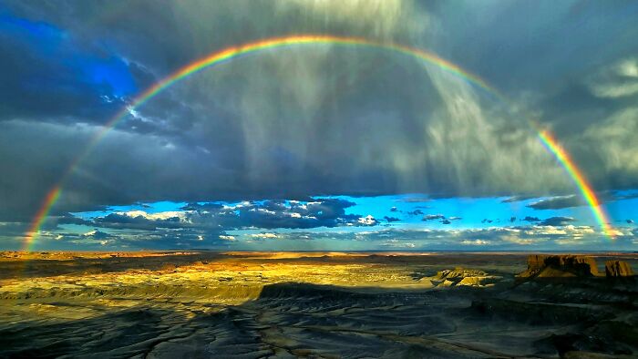 “Fox With A McDonald’s Takeaway?”: Once-In-A-Lifetime Photos Taken At The Exact Perfect Moment