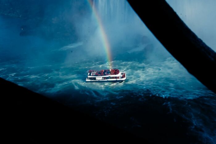 “Fox With A McDonald’s Takeaway?”: Once-In-A-Lifetime Photos Taken At The Exact Perfect Moment