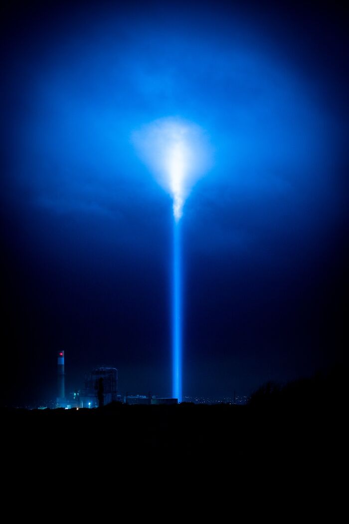 “Fox With A McDonald’s Takeaway?”: Once-In-A-Lifetime Photos Taken At The Exact Perfect Moment