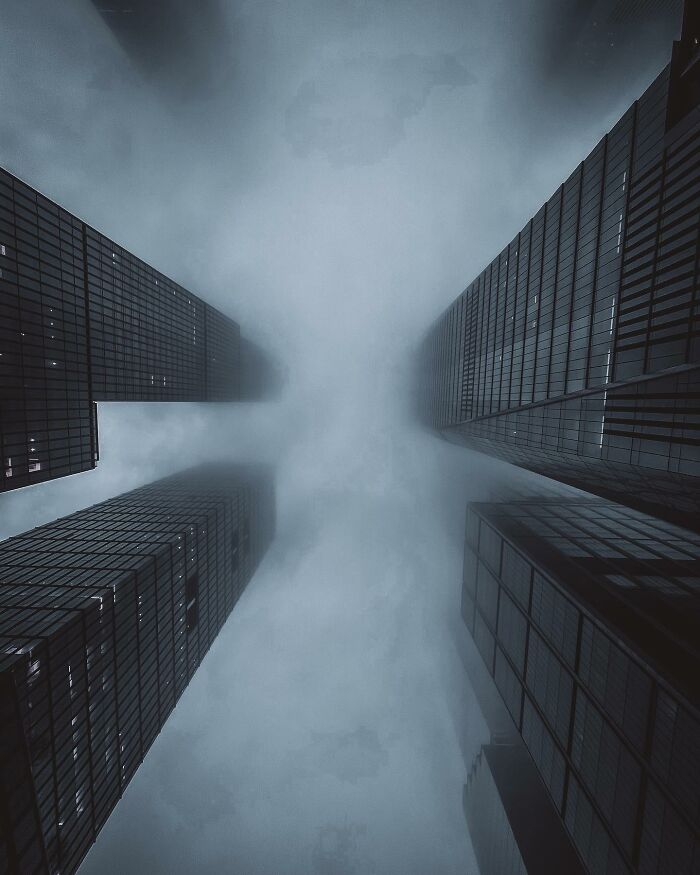 “Fox With A McDonald’s Takeaway?”: Once-In-A-Lifetime Photos Taken At The Exact Perfect Moment