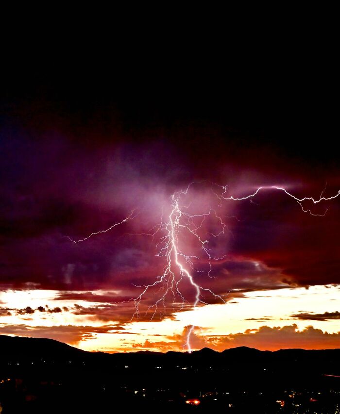 “Fox With A McDonald’s Takeaway?”: Once-In-A-Lifetime Photos Taken At The Exact Perfect Moment