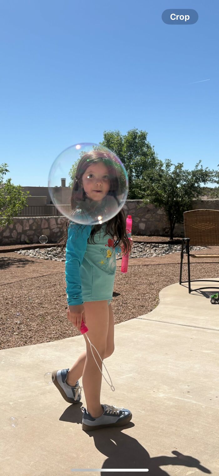 “Fox With A McDonald’s Takeaway?”: Once-In-A-Lifetime Photos Taken At The Exact Perfect Moment