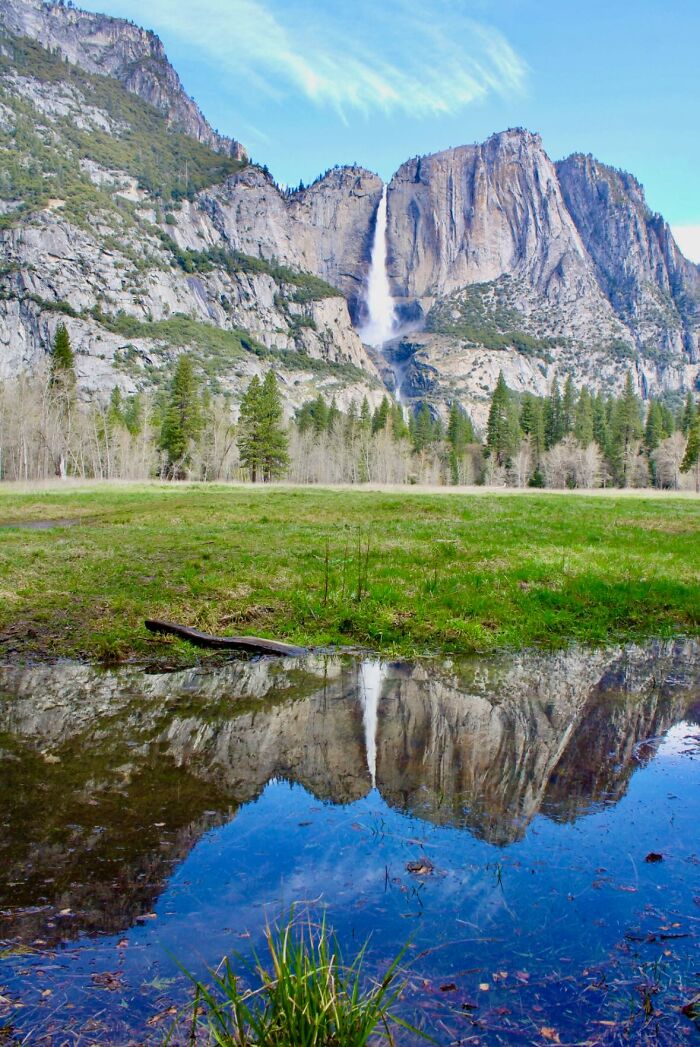 “Fox With A McDonald’s Takeaway?”: Once-In-A-Lifetime Photos Taken At The Exact Perfect Moment