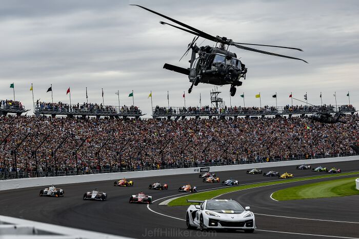 “Fox With A McDonald’s Takeaway?”: Once-In-A-Lifetime Photos Taken At The Exact Perfect Moment
