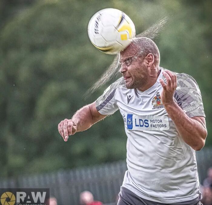 “Fox With A McDonald’s Takeaway?”: Once-In-A-Lifetime Photos Taken At The Exact Perfect Moment