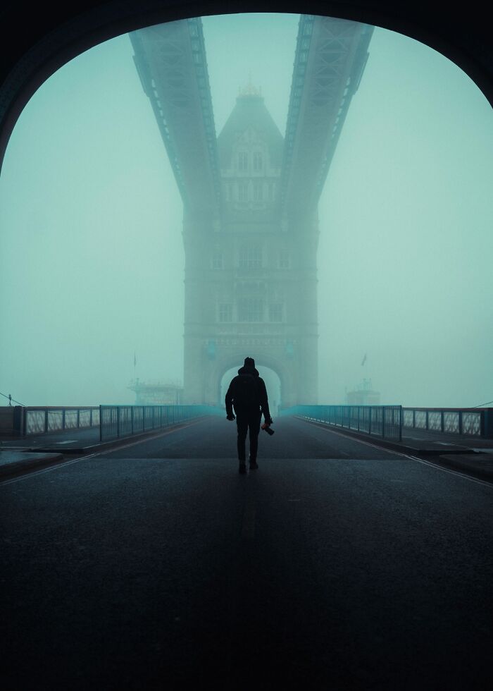“Fox With A McDonald’s Takeaway?”: Once-In-A-Lifetime Photos Taken At The Exact Perfect Moment