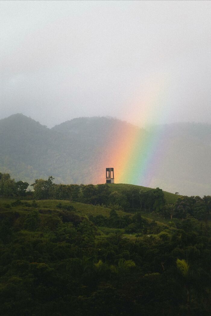 “Fox With A McDonald’s Takeaway?”: Once-In-A-Lifetime Photos Taken At The Exact Perfect Moment