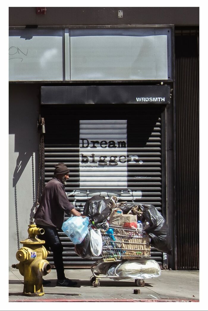 “Fox With A McDonald’s Takeaway?”: Once-In-A-Lifetime Photos Taken At The Exact Perfect Moment