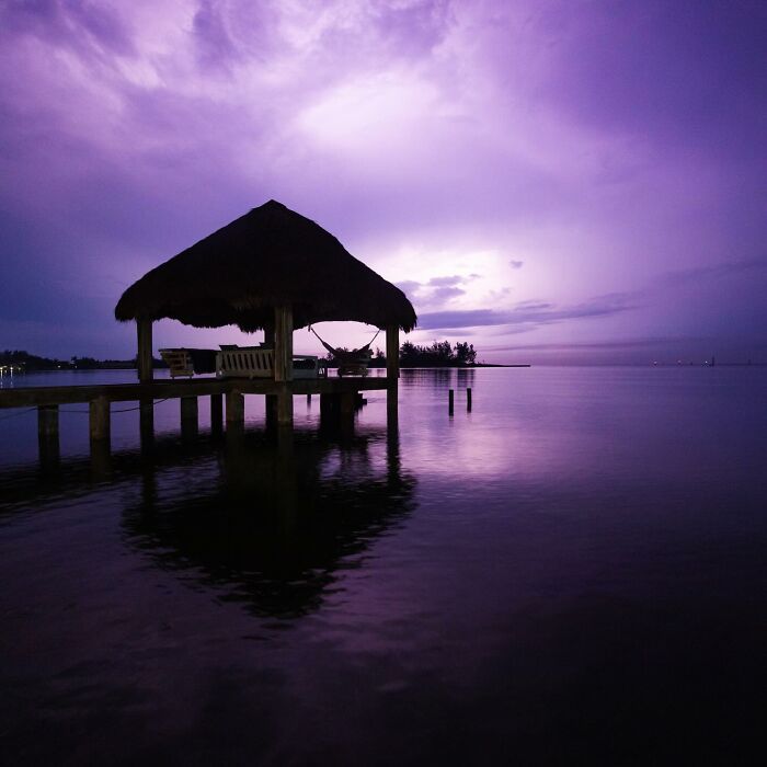 “Fox With A McDonald’s Takeaway?”: Once-In-A-Lifetime Photos Taken At The Exact Perfect Moment