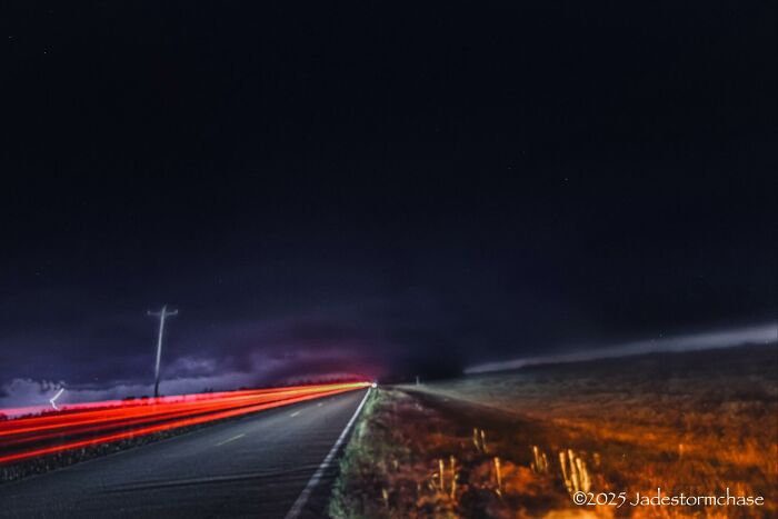 “Fox With A McDonald’s Takeaway?”: Once-In-A-Lifetime Photos Taken At The Exact Perfect Moment