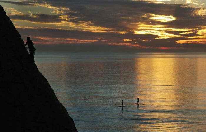 “Fox With A McDonald’s Takeaway?”: Once-In-A-Lifetime Photos Taken At The Exact Perfect Moment